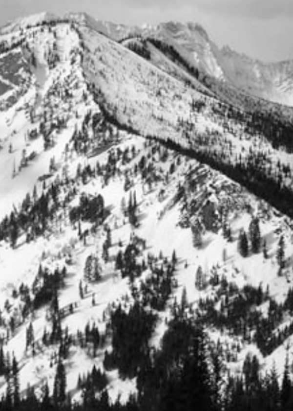 Cabin Bowl
