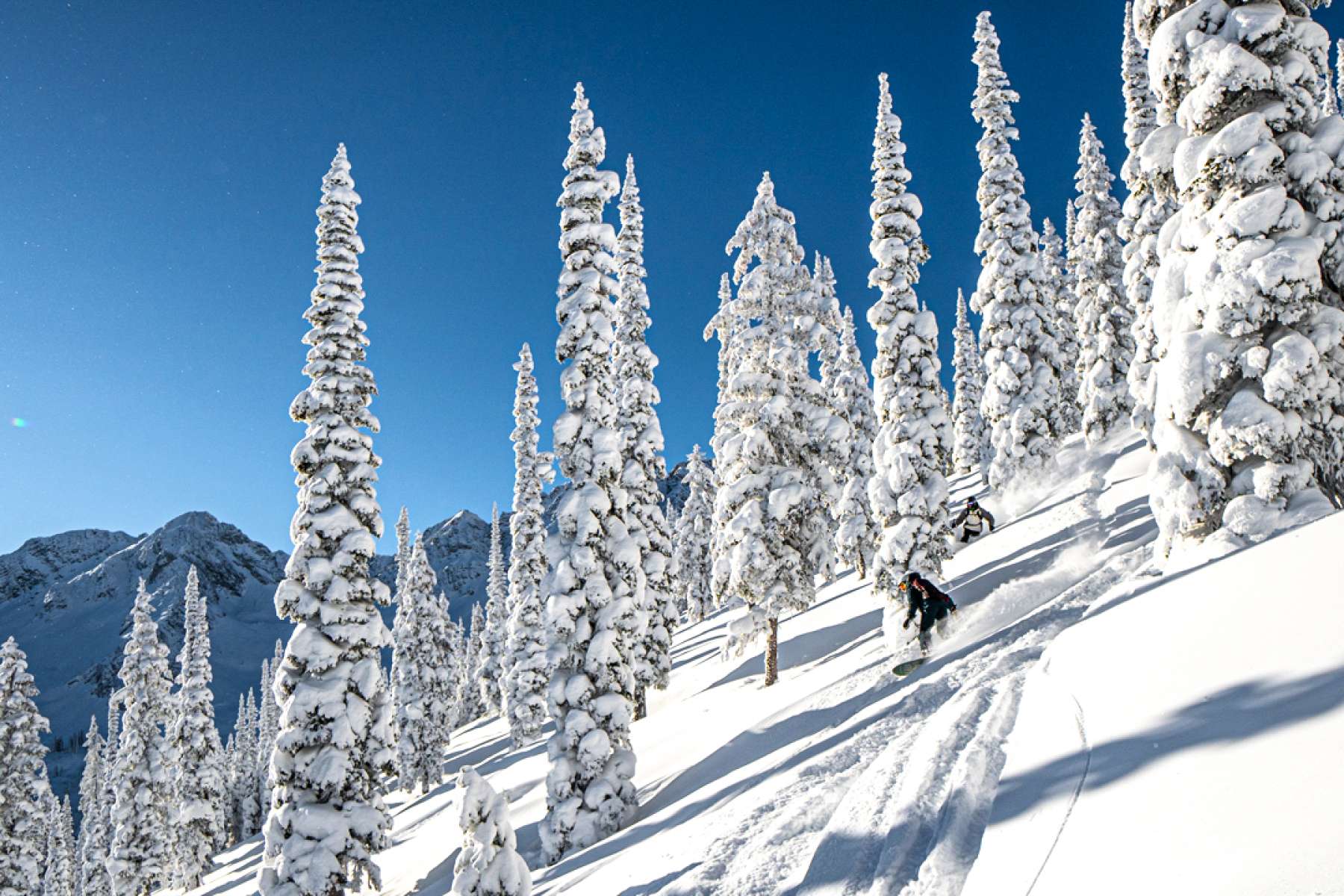 Tree Skiing | Island Lake Lodge 