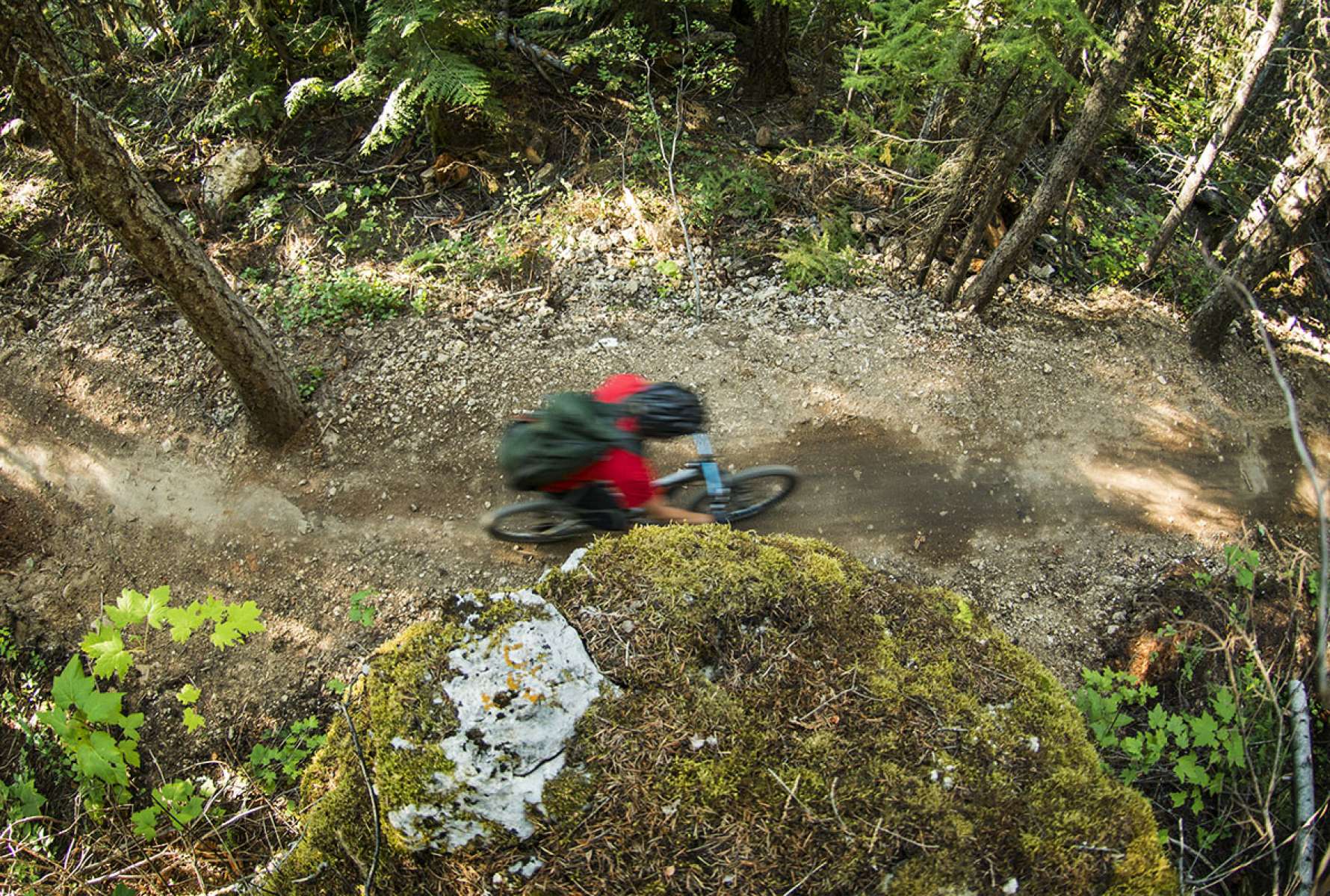 Lazy Lizard bike trail 